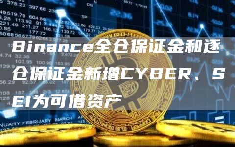 Binance全仓保证金和逐仓保证金新增CYBER、SEI为可借资产