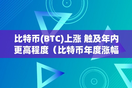 比特币(BTC)上涨 触及年内更高程度（比特币年度涨幅）