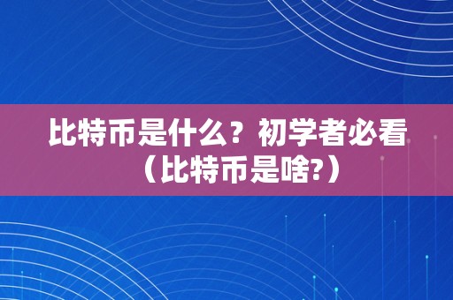 比特币是什么？初学者必看（比特币是啥?）