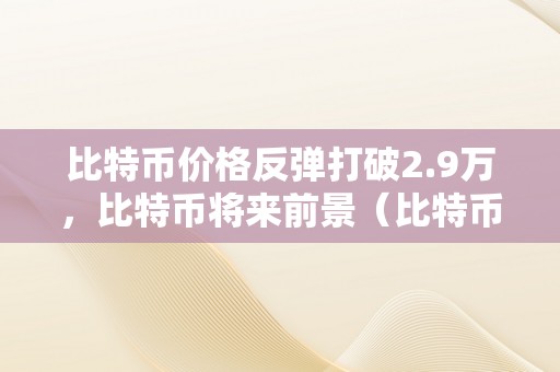 比特币价格反弹打破2.9万，比特币将来前景（比特币的将来走势若何）