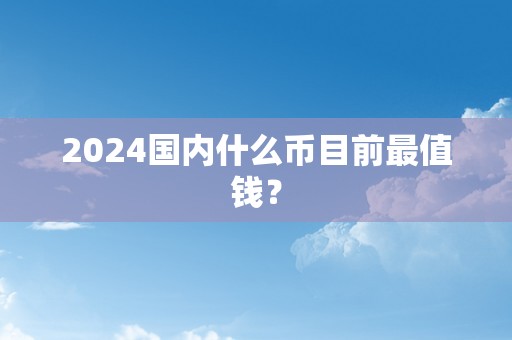 2024国内什么币目前最值钱？