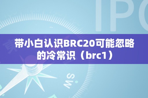 带小白认识BRC20可能忽略的冷常识（brc1）