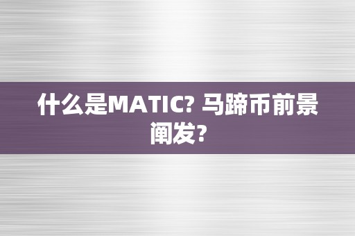 什么是MATIC? 马蹄币前景阐发?