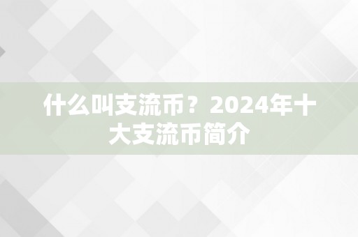 什么叫支流币？2024年十大支流币简介