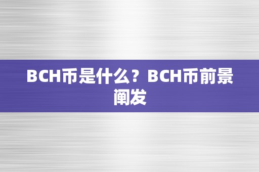 BCH币是什么？BCH币前景阐发