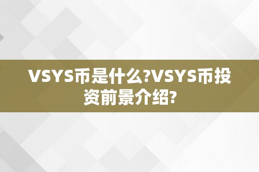 VSYS币是什么?VSYS币投资前景介绍?