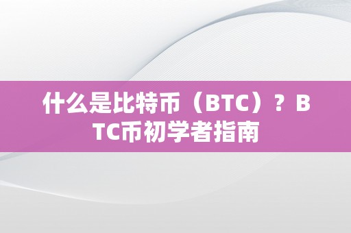 什么是比特币（BTC）？BTC币初学者指南