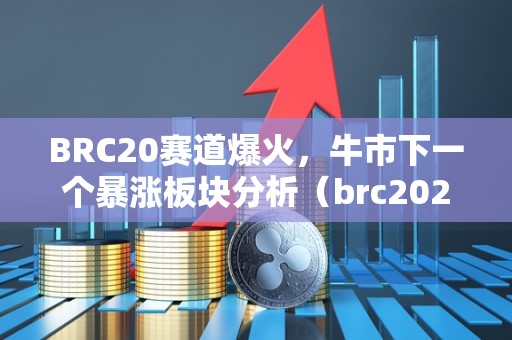 BRC20赛道爆火，牛市下一个暴涨板块分析（brc2020）