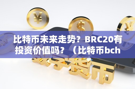 比特币未来走势？BRC20有投资价值吗？（比特币bch价格）