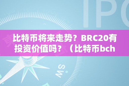 比特币将来走势？BRC20有投资价值吗？（比特币bch价格）