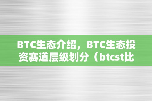 BTC生态介绍，BTC生态投资赛道层级划分（btcst比特生态币）