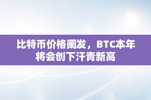 比特币价格阐发，BTC本年将会创下汗青新高