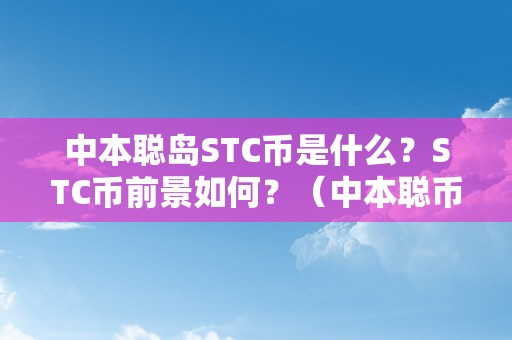 中本聪岛STC币是什么？STC币前景如何？（中本聪币btcs今日最新进展）