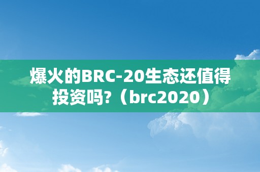 爆火的BRC-20生态还值得投资吗?（brc2020）