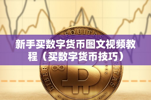 新手买数字货币图文视频教程（买数字货币技巧）