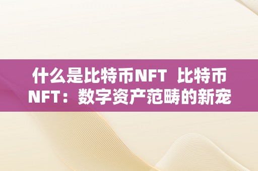 什么是比特币NFT  比特币NFT：数字资产范畴的新宠