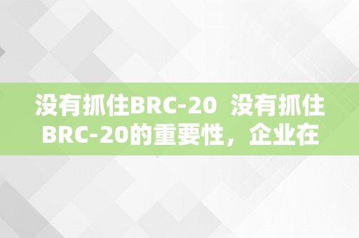 没有抓住BRC-20  没有抓住BRC-20的重要性，企业在数字资产范畴的合作力将遭到影响