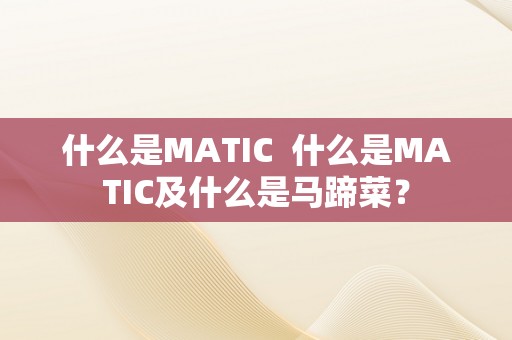 什么是MATIC  什么是MATIC及什么是马蹄菜？